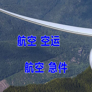 静巴航空运输快递-选东方航空和上海航空