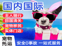 静巴航空运输国际宠物托运 【国